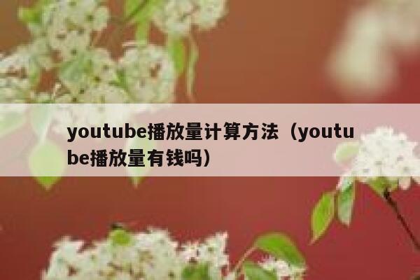 youtube播放量计算方法（youtube播放量有钱吗） 第1张