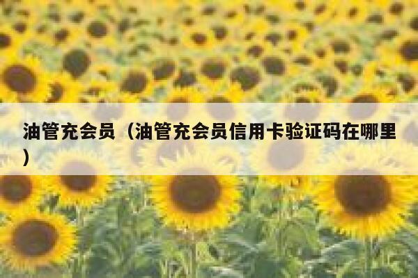 油管充会员（油管充会员信用卡验证码在哪里） 第1张