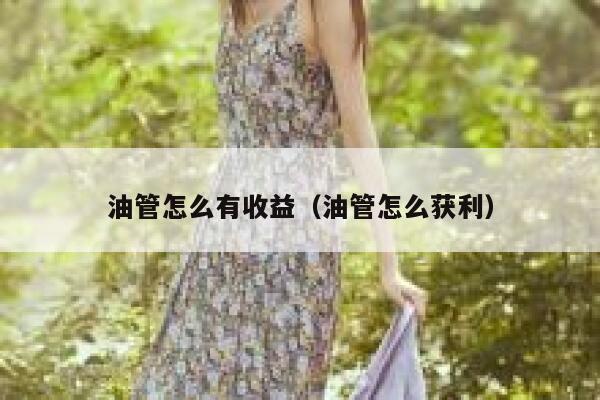 油管怎么有收益（油管怎么获利） 第1张
