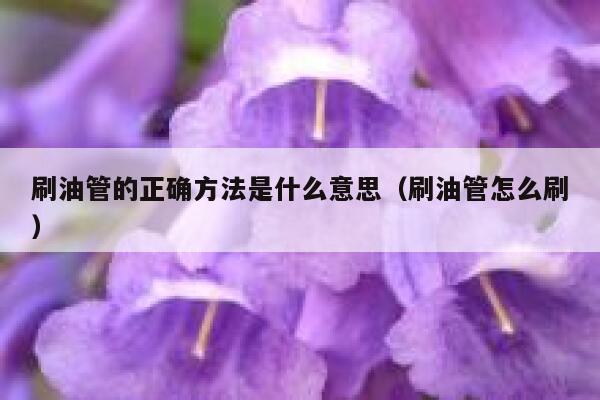 刷油管的正确方法是什么意思(刷油管怎么刷) 第1张 刷油管的正确方法是什么意思(刷油管怎么刷) 第1张
