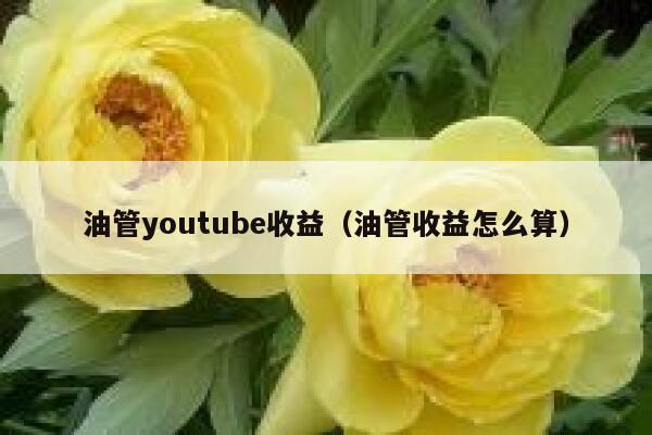 油管youtube收益(油管收益怎么算) 第1张 油管youtube收益(油管收益怎么算) 第1张
