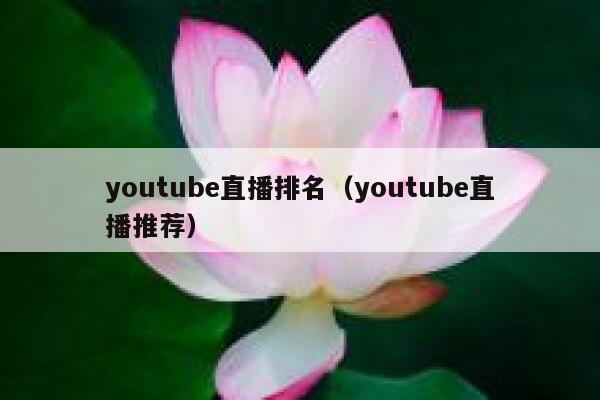youtube直播排名（youtube直播推荐） 第1张