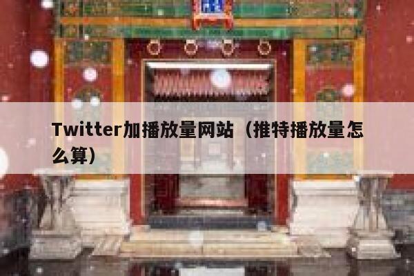 Twitter加播放量网站（推特播放量怎么算） 第1张