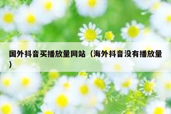 国外抖音买播放量网站（海外抖音没有播放量） 第1张