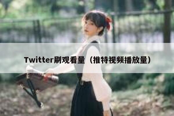 Twitter刷观看量（推特视频播放量） 第1张