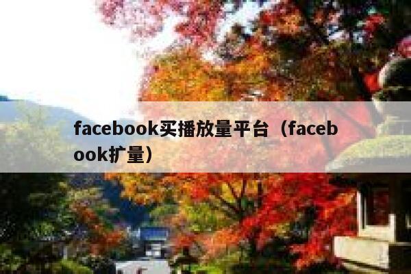 facebook买播放量平台（facebook扩量） 第1张