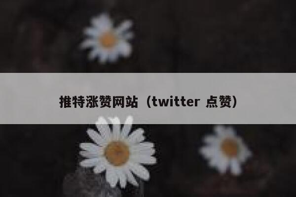 推特涨赞网站(twitter 点赞) 第1张 推特涨赞网站(twitter 点赞) 第1张
