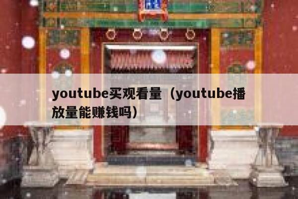 youtube买观看量（youtube播放量能赚钱吗） 第1张