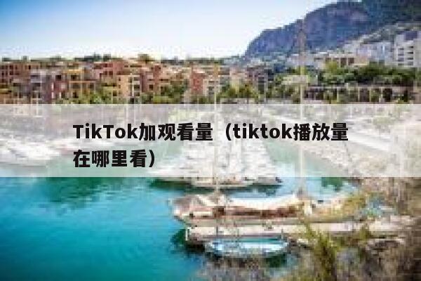 TikTok加观看量（tiktok播放量在哪里看） 第1张