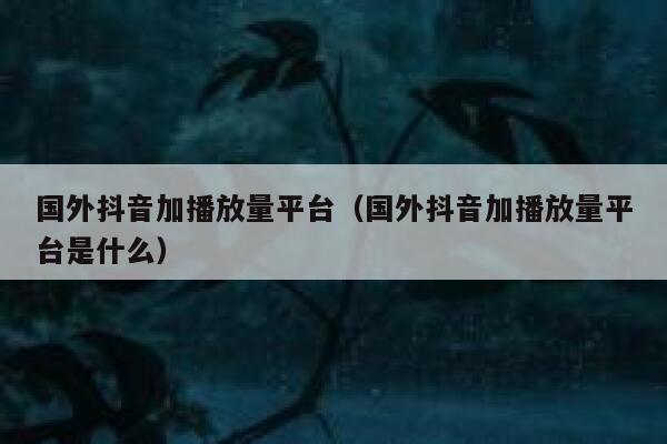 国外抖音加播放量平台（国外抖音加播放量平台是什么） 第1张