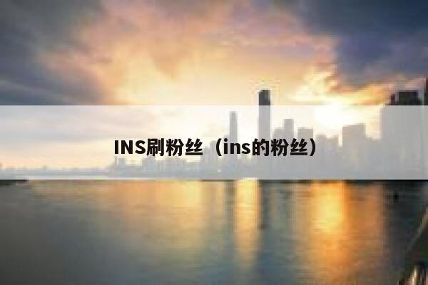 INS刷粉丝(ins的粉丝) 第1张 INS刷粉丝(ins的粉丝) 第1张