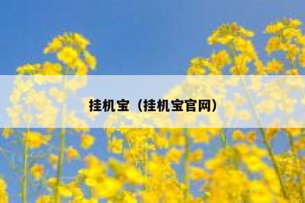 挂机宝（挂机宝官网） 第1张