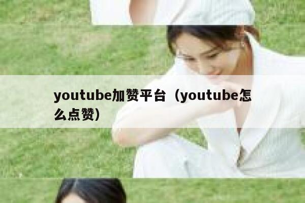 youtube加赞平台（youtube怎么点赞） 第1张