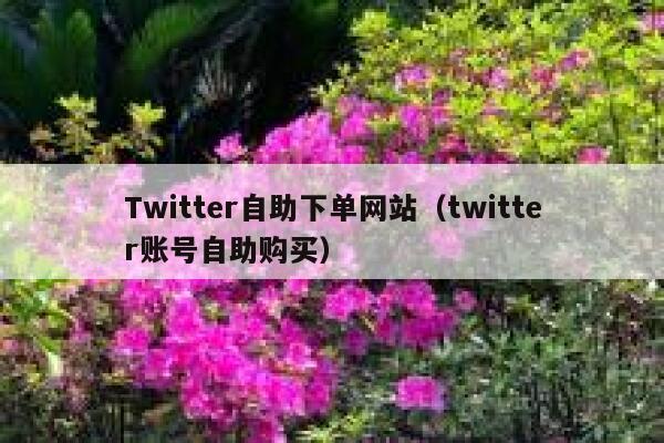 Twitter自助下单网站(twitter账号自助购买) 第1张 Twitter自助下单网站(twitter账号自助购买) 第1张
