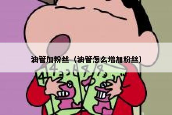 油管加粉丝(油管怎么增加粉丝) 第1张 油管加粉丝(油管怎么增加粉丝) 第1张