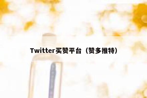 Twitter买赞平台（赞多推特） 第1张