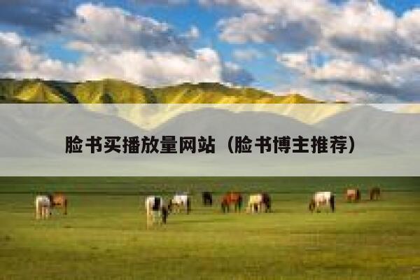 脸书买播放量网站（脸书博主推荐） 第1张