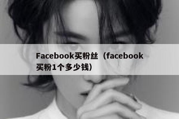Facebook买粉丝(facebook买粉1个多少钱) 第1张 Facebook买粉丝(facebook买粉1个多少钱) 第1张