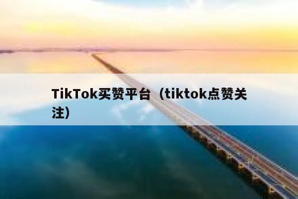 TikTok买赞平台(tiktok点赞关注) 第1张 TikTok买赞平台(tiktok点赞关注) 第1张