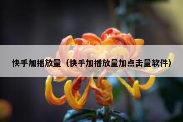 快手加播放量（快手加播放量加点击量软件） 第1张