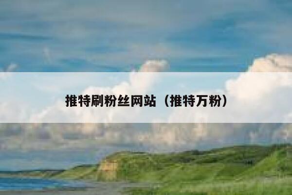 推特刷粉丝网站（推特万粉） 第1张