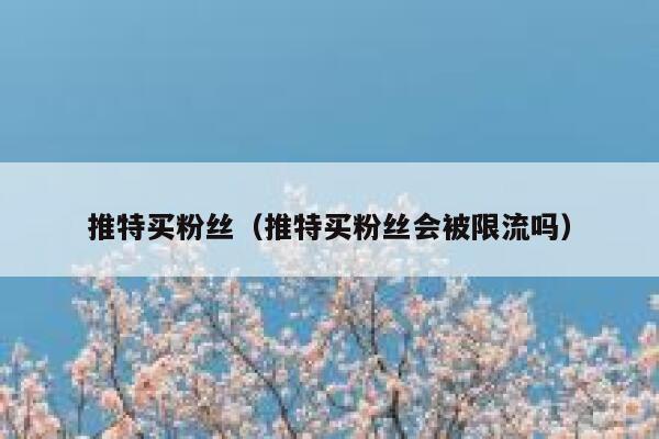 推特买粉丝（推特买粉丝会被限流吗） 第1张