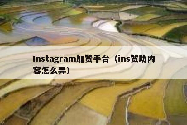 Instagram加赞平台（ins赞助内容怎么弄） 第1张