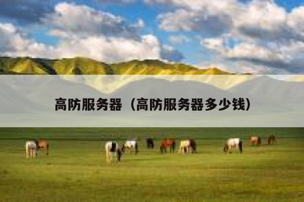 高防服务器（高防服务器多少钱） 第1张