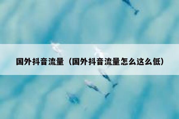 国外抖音流量（国外抖音流量怎么这么低） 第1张