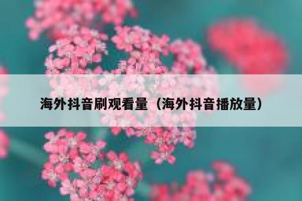 海外抖音刷观看量（海外抖音播放量） 第1张