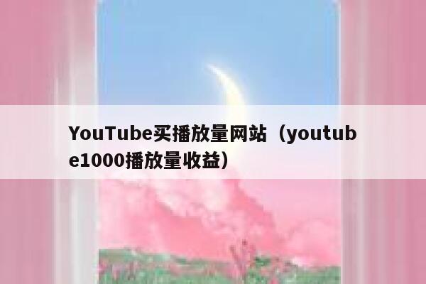 YouTube买播放量网站（youtube1000播放量收益） 第1张