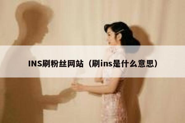 INS刷粉丝网站（刷ins是什么意思） 第1张