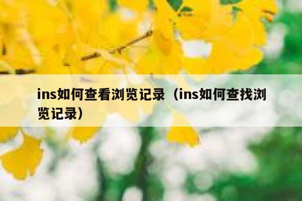 ins如何查看浏览记录（ins如何查找浏览记录） 第1张