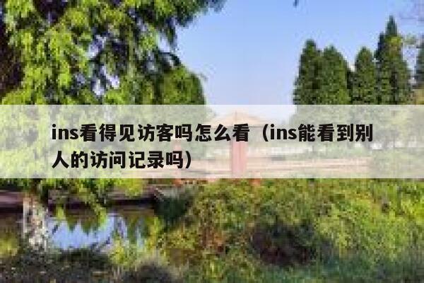 ins看得见访客吗怎么看(ins能看到别人的访问记录吗) 第1张 ins看得见访客吗怎么看(ins能看到别人的访问记录吗) 第1张