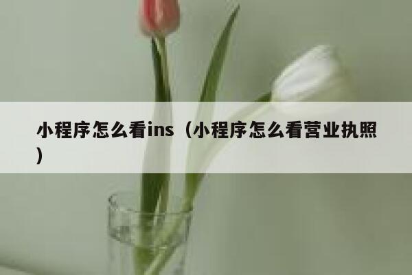 小程序怎么看ins（小程序怎么看营业执照） 第1张