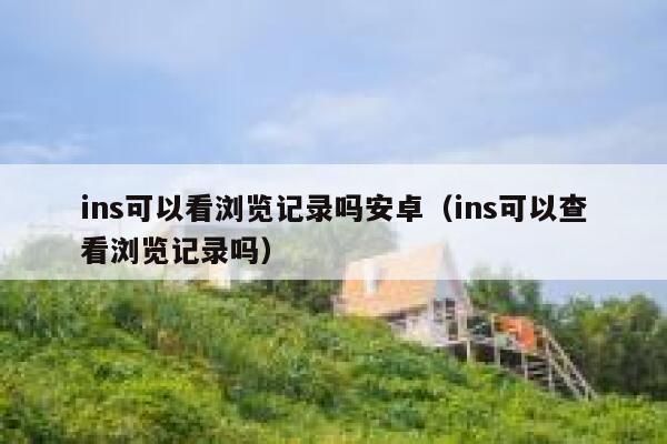 ins可以看浏览记录吗安卓（ins可以查看浏览记录吗） 第1张