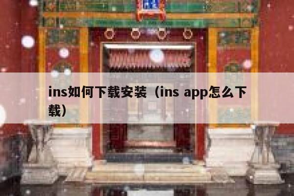 ins如何下载安装（ins app怎么下载） 第1张