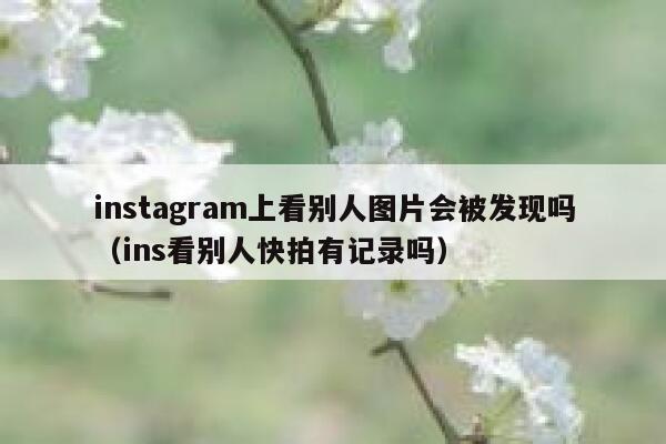 instagram上看别人图片会被发现吗(ins看别人快拍有记录吗) 第1张 instagram上看别人图片会被发现吗(ins看别人快拍有记录吗) 第1张