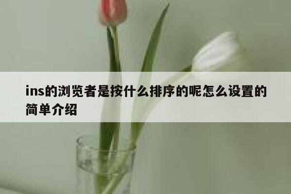 ins的浏览者是按什么排序的呢怎么设置的简单介绍 第1张