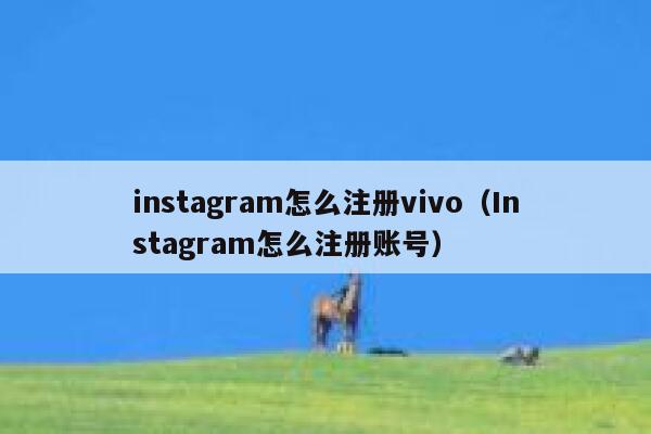 instagram怎么注册vivo(Instagram怎么注册账号) 第1张 instagram怎么注册vivo(Instagram怎么注册账号) 第1张
