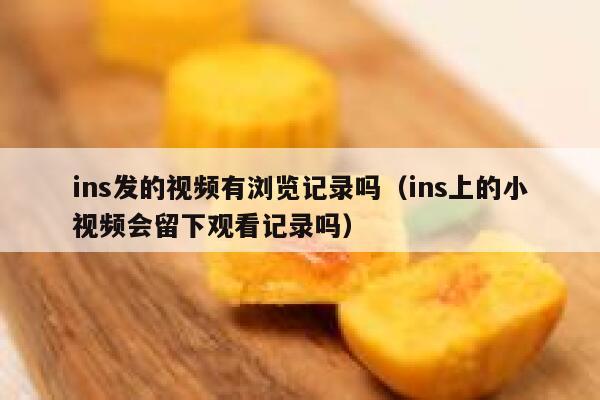 ins发的视频有浏览记录吗（ins上的小视频会留下观看记录吗） 第1张
