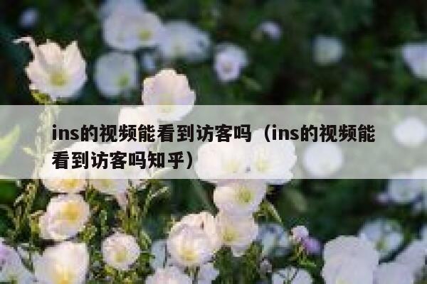 ins的视频能看到访客吗（ins的视频能看到访客吗知乎） 第1张