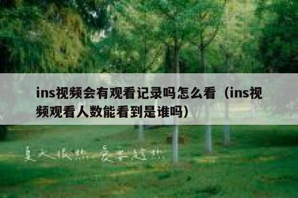 ins视频会有观看记录吗怎么看（ins视频观看人数能看到是谁吗） 第1张