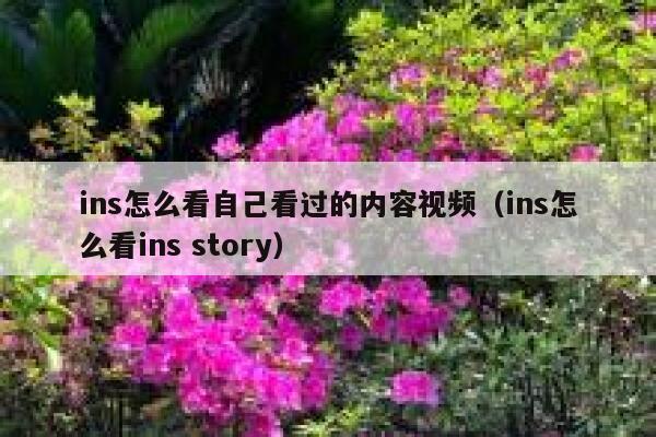 ins怎么看自己看过的内容视频（ins怎么看ins story） 第1张
