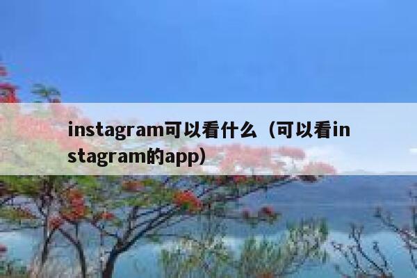 instagram可以看什么（可以看instagram的app） 第1张