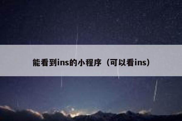 能看到ins的小程序（可以看ins） 第1张