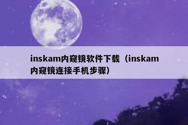 inskam内窥镜软件下载（inskam内窥镜连接手机步骤） 第1张