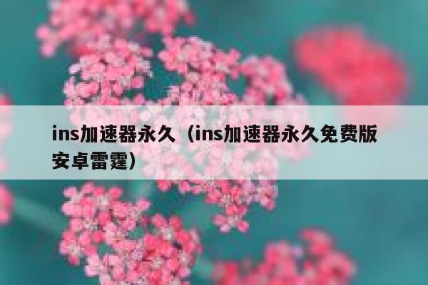 ins加速器永久（ins加速器永久免费版安卓雷霆） 第1张