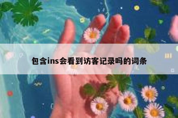 包含ins会看到访客记录吗的词条 第1张