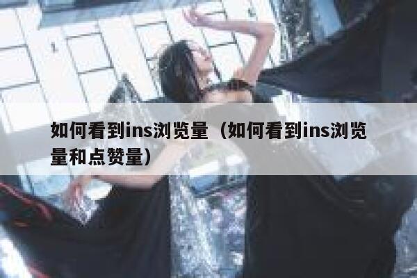 如何看到ins浏览量（如何看到ins浏览量和点赞量） 第1张